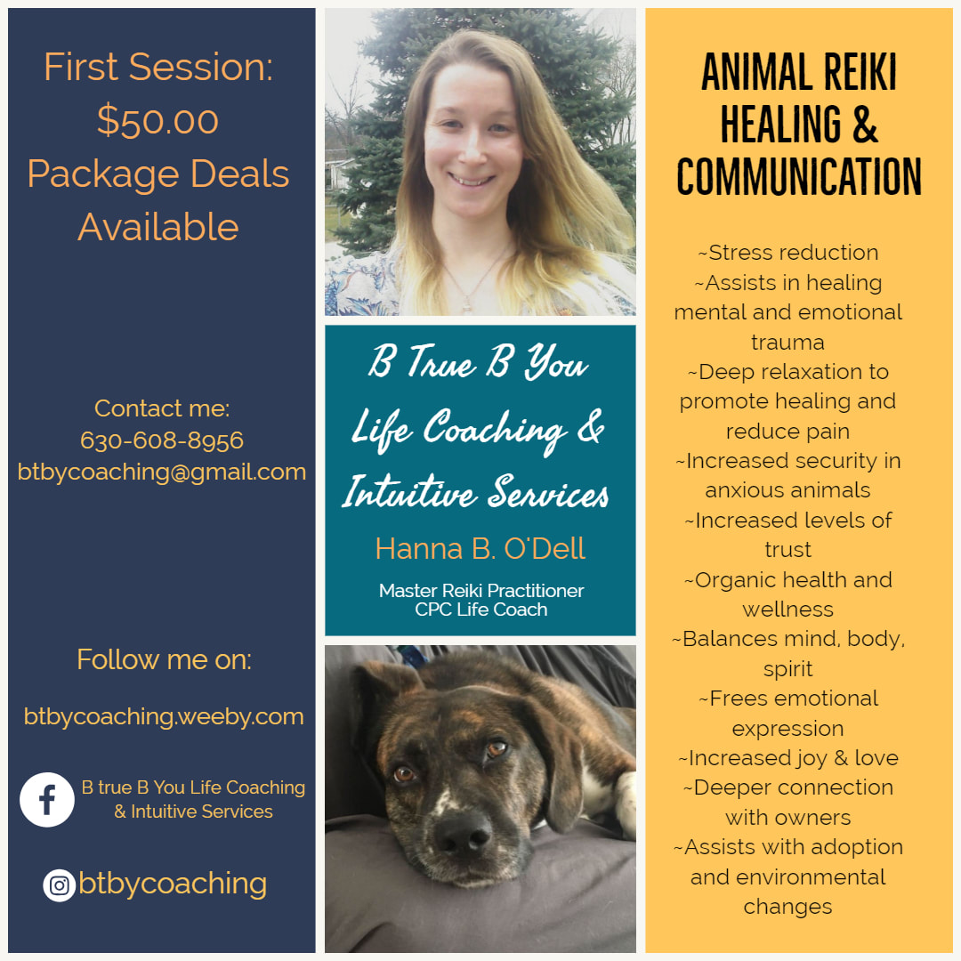 Animal Reiki & Communication - B True B You Life Coaching &​​Intuitive  Services